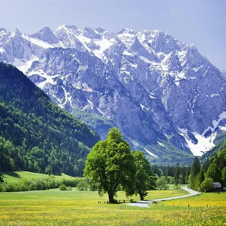 Affittimoderni Poggio Fiorito *